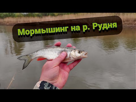 Видео: Мормышинг на реке Рудня в Нижегородской области с.Починки. Бюджетный спиннинг для мормышинга
