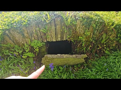 Видео: Вы не поверите, что я нашел на этом старом кладбище!
