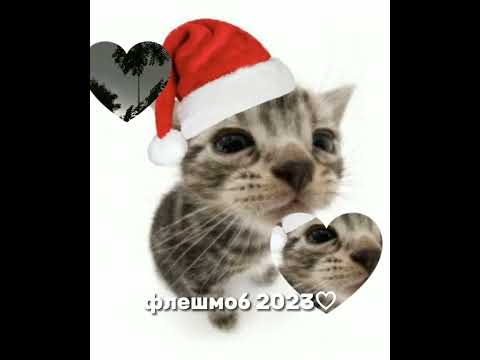 Видео: музыка для флешмоба 2024★