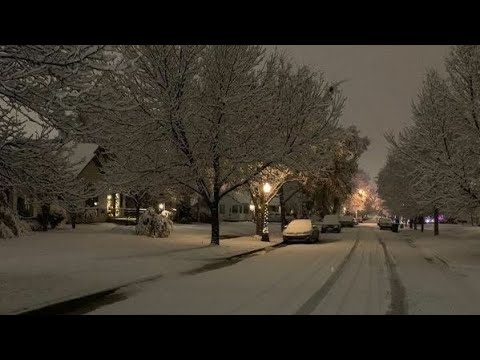 Видео: комфортный плейлист рандомных песен