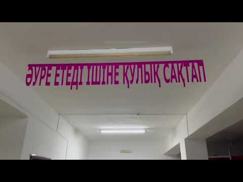 Видео: 4 ноября 2025 г.