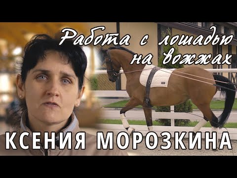 Видео: Ксения Морозкина. Работа с лошадью на вожжах.