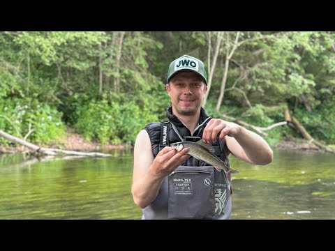 Видео: Гоняем по малой реке под водометом. Нашли и поймали Тверского Хариуса!