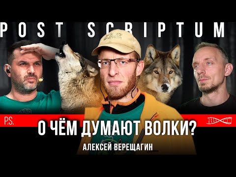 Видео: О чем думают волки? | Алексей Верещагин