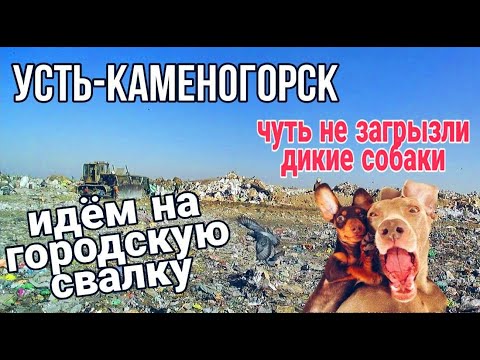 Видео: Усть Каменогорск 2022 Городская свалка какие тайны она хранит экскурсия по полигону Өскемен