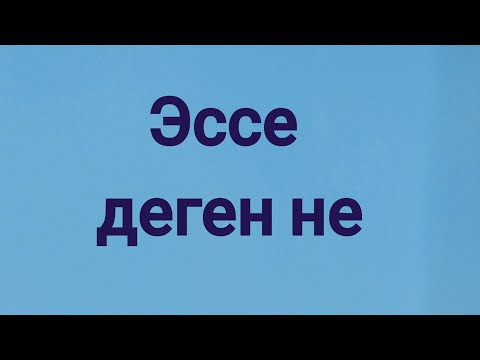 Видео: Эссе деген не