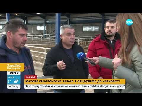 Видео: Oвцевъди в Карнобатско твърдят, че животните им са нелечимо болни, БАБХ отрича