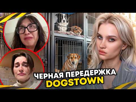 Видео: Разоблачение собачьей передержки за 6.000.000 рублей в месяц