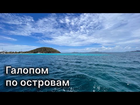 Видео: Назад на Мартинику, Брочинг. Бекия и Рифы Тобаго, кровавая рыбалка