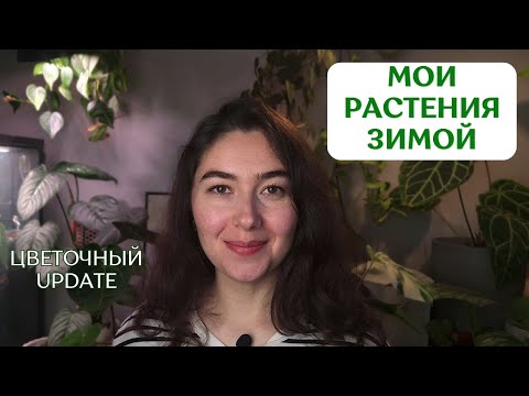 Видео: РАСТУТ ли мои цветы ОСЕНЬЮ и ЗИМОЙ? | новые ЛИСТЬЯ и рост РАСТЕНИЙ зимой