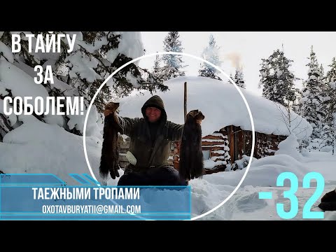 Видео: В Тайгу за соболем! Проверка путика перед Рождеством. Мороз -32