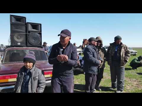 Видео: Көкпар Жеңіс ауылы Серік мырза