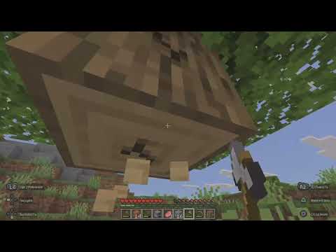 Видео: Minecraft и Poziboy🤘💪💯