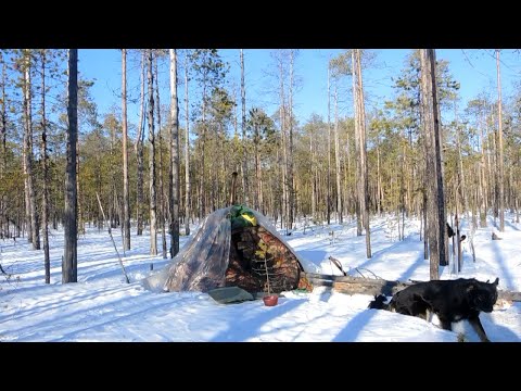 Видео: Путешествие на болото. Снегоход. Палаточный лагерь.