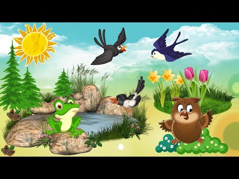 Видео: Пані Сова в пошуках Зайчика. Логіко-математичний розвиток старша група ЗДО