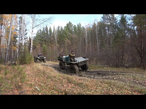 Видео: ТАКИХ ТОПКИХ БОЛОТ Я ЕШЕ НЕ ВИДЕЛ! ЗАРАБОТОК НА СБОРЕ КЛЮКВЫ.