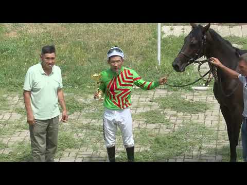 Видео: Элистинский ипподром 09 07 2023