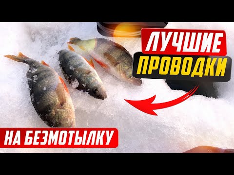 Видео: Эти проводки на Безмотылку ловят даже в Глухозимье