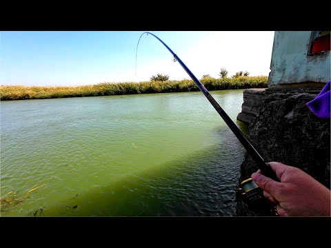 Видео: Рыбалка в ураган,  на территории элеватора  Река Маныч!