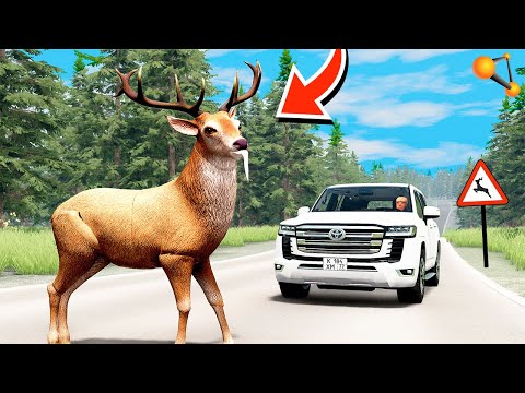 Видео: СМЕРТЕЛЬНАЯ ВСТРЕЧА! СБИЛ ЛОСЯ на ШОССЕ! ► BeamNG.drive