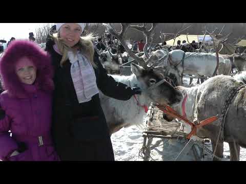 Видео: День оленевода Усь-Нюкжа март 2013 год.