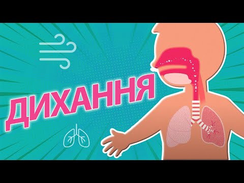 Видео: НАВІЩО МИ ДИХАЄМО? | Po co oddychamy?