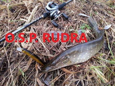Видео: Загляни в мою Коробку! OSP RUDRA!