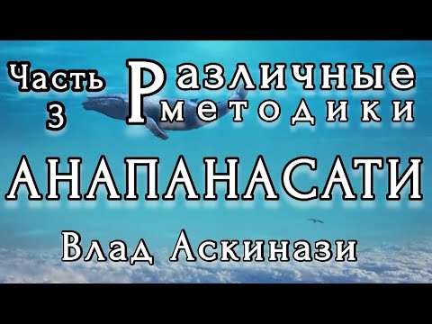 Видео: Влад Аскинази. Различные методики Анапанасати. Часть 3. Хенепола  Гунаратана, А.Сумедхо, А.Вимокха.