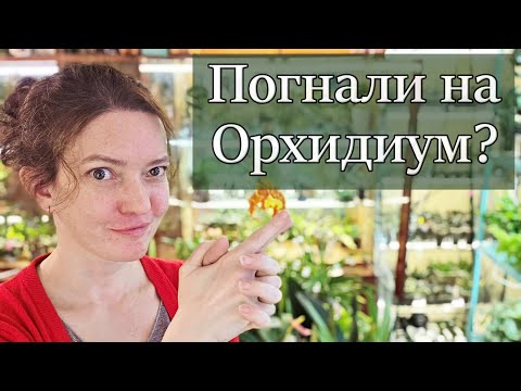 Видео: Как ВЫБРАТЬ ХОРОШУЮ Орхидею на Орхидиуме. Лайфхак от Белки.