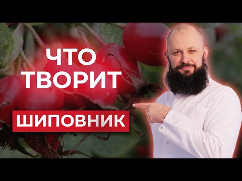 Видео: Шиповник или таблетки: ЧТО ВЫБРАТЬ? / Как пить шиповник ПРАВИЛЬНО?