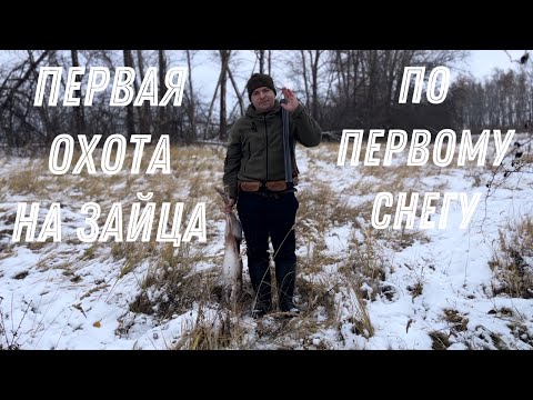 Видео: ОХОТА НА ЗАЙЦА ПО ПЕРВОМУ СНЕГУ. Погоня за подранком.