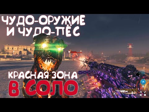 Видео: Чудо-оружие и чудо-пёс в Красной зоне в соло MWZ