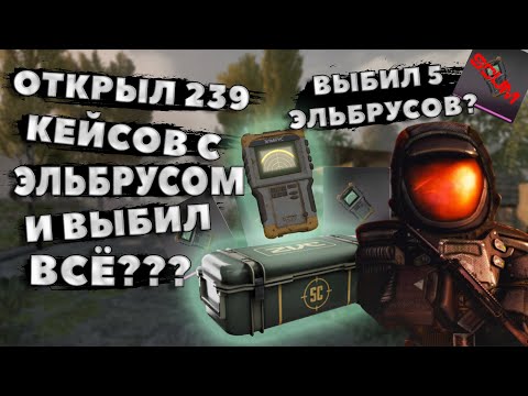 Видео: Самый большой ОПЕНКЕЙС за Всю Историю STALCRAFT X, 239 кейсов с Эльбрусом | скам на 200кк | РОЗЫГРЫШ