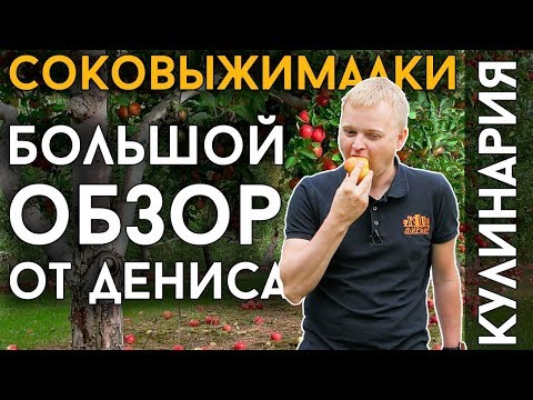 Видео: СОКОВЫЖИМАЛКИ: КАК ВЫБРАТЬ? | Какую соковыжималку купить?