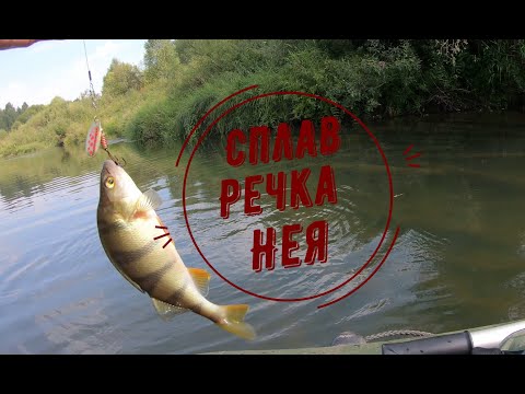 Видео: Сплав по речке НЕЯ. Что такое СЕЖА?
