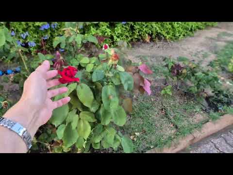 Видео: Первый день на Сардинии. Sardinia,  заселение в Hotel L'Esagono. 