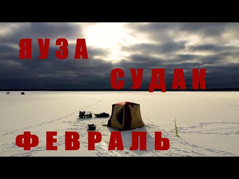 Видео: Попал на клёв СУДАКА! Ночная ловля судака на жерлицы! ТРОФЕЙ заглянул!