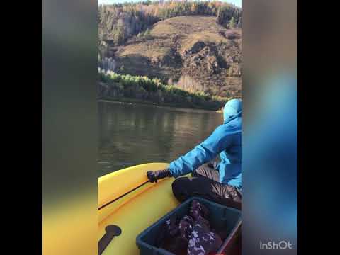 Видео: Allaska 390 drive lux (SibRiver)+ mercury f25 на водомёте
