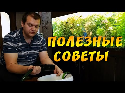 Видео: ТОП 7 лайфхаков аквариумиста от Артема!