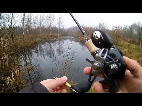 Видео: Лучший лайтовый тревел с алиэкспресс Lurestar C644L 2-10 грамм джиг твич равномерка