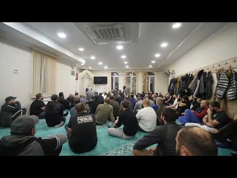 Видео: Сулейман бегъымбарым عليه السلام и хъыбарыр (3)