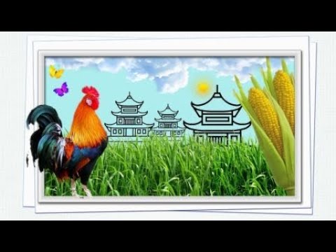 Видео: Хуньчунь / Китайско-корейская деревня / Как решаются страховые случаи в Китае / 06.04.2024