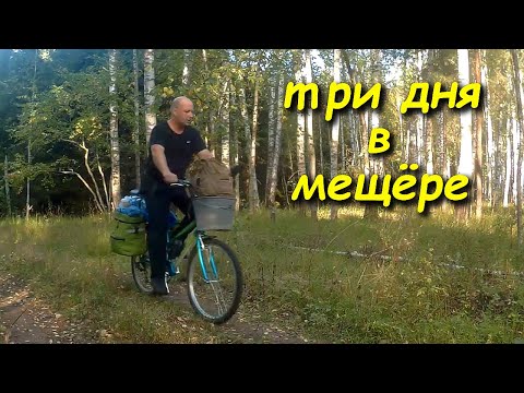 Видео: Одиночный тяжёлый трёхдневный велопоход по Мещере. #велосипед #поход #мещёра