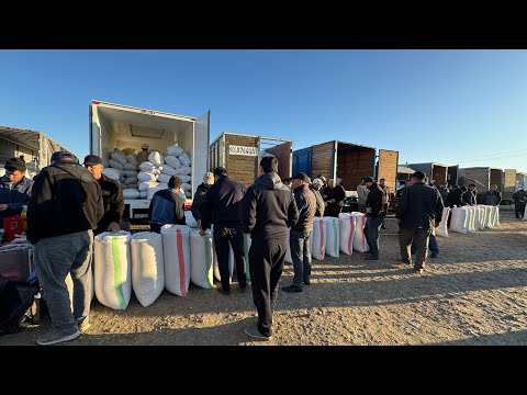 Видео: ХОРАЗМ ХАЗАРАСП ОПТОМ ГУРУЧ ЯНГИ НАРХЛАРИ 28 октября 2025 г.
