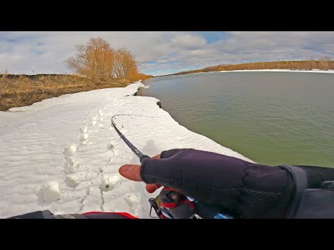 Видео: Рыбалка на Спиннинг ранней весной! УРА! ЕСТЬ ПОКЛЁВКА СУДАКА! Береговой джиг 2023