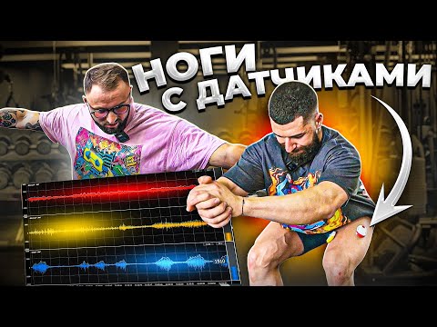 Видео: КАЧАЕМ НОГИ ПО НАУКЕ: КВАДРИЦЕПС