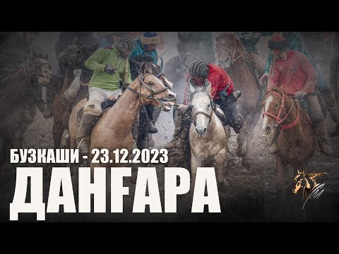 Видео: Бузкаши 23.12.2023 н.Дангара (Лолазор)