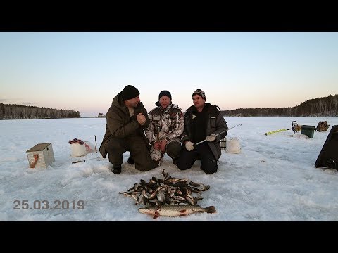 Видео: ЗИМНЯЯ РЫБАЛКА НА ОЗЕРЕ СУНУКУЛЬ! ЛОВИМ ЧЕБАКА, ОКУНЯ! К ВЕЧЕРУ ВЗЯЛИ ЗАЧЕТНУЮ ЩУКУ НА ЖЕРЛИЦУ!