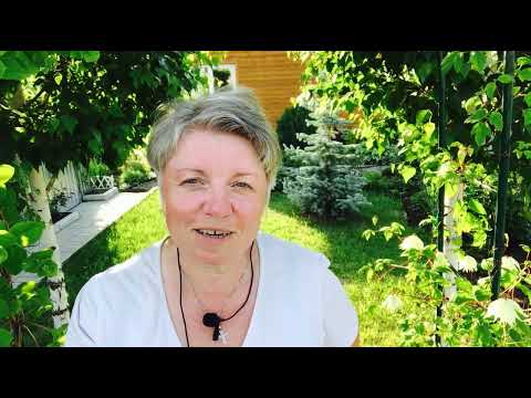 Видео: 🌿🌵🌿Этот цветник  будет красив всегда! Сажаем гортензию и пионы пошагово!#посадкагортензииипиона