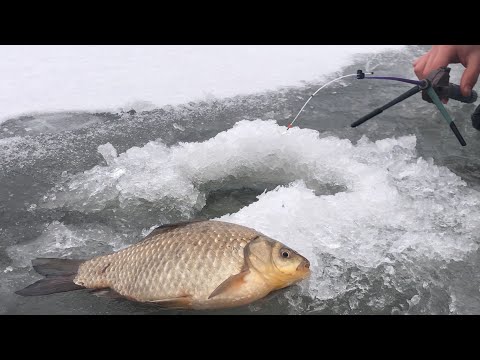 Видео: Так багато ще не ловили